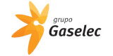 grupo gaselec