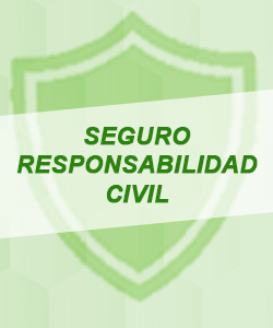 carrusel nea seguro