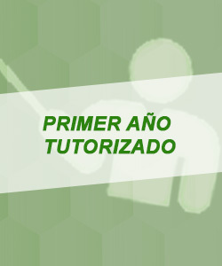 carrusel nea tutorizado