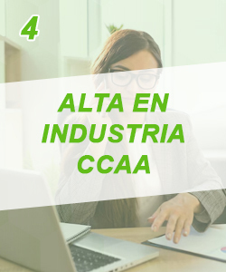 carrusel nea alta industria v3