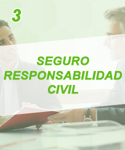 carrusel nea seguro v3